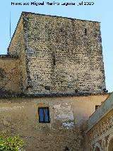 Castillo Palacio de los Ribera. Torre del Homenaje