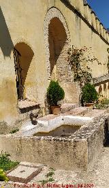 Castillo Palacio de los Ribera. Lavadero del Jard�n Secreto