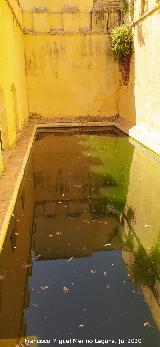 Castillo Palacio de los Ribera. Estanque del Jard�n Secreto