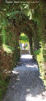 Castillo Palacio de los Ribera. Jard�n Bajo