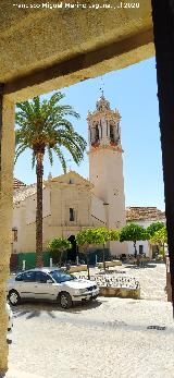 Iglesia de Santo Domingo de Guzm�n. Desde el Castillo Palacio de los Ribera