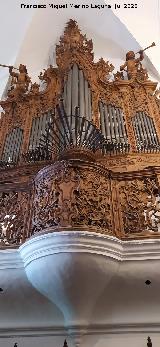 Iglesia de Santo Domingo de Guzm�n. �rgano