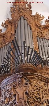 Iglesia de Santo Domingo de Guzm�n. Trompeter�a