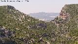 Garganta Verde