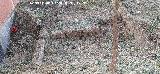 Marroqu�es Bajos. Alberca romana del Anillo 0. Alberca peque�a
