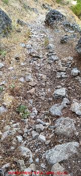 Camino de las �nimas