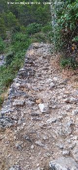 Ca�ada de la Magdalena. 