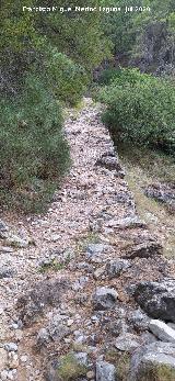 Ca�ada de la Magdalena. 