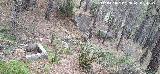 Fuente Milagrosa. Situaci�n