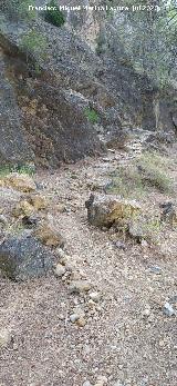 Camino Alto de la Quebrada. 