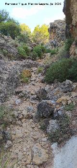 Camino Alto de la Quebrada. 