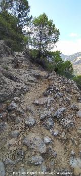 Camino Alto de la Quebrada. 