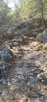 Camino Alto de la Quebrada. 