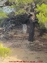Moj�n de la Quebrada. 