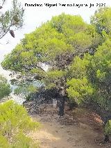 Moj�n de la Quebrada. 