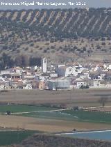 Iglesia de la Asuncin. 