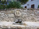 Fuente del Cao. Escudo y caos