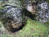 Cueva de la Murcielaguina. 
