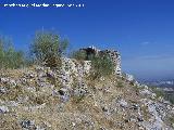 Castillo de la Pea. Torren Circular Noreste. 