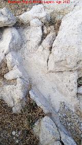 Aldea El Parrizoso. Canalizacin