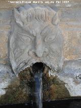 Fuente del Pilar. Cao