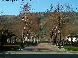 Parque del Ferial. 