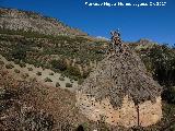 Choza del Albergue de las Cabritas. Vistas