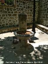 Fuente de Cnava. 