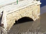 Puente del Salado. Ojo del puente