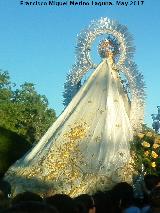 Virgen de la Estrella. Manto