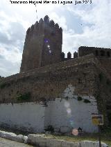 Torre Albarrana. 