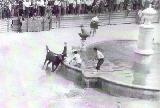 Fuente de la Plaza. Foto antigua. Encierros