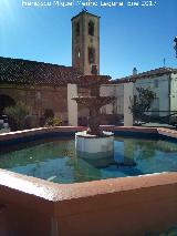 Fuente de la Plaza de la Iglesia. 