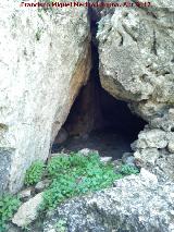 Cueva de los Caballos. 