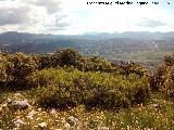 Cerro del Camello. Vistas