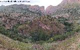Cerro Toledo. 