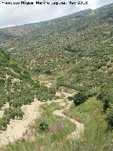 Arroyo de los Puercos. 