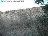 Molino de la Nava. Muros