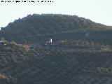 Yacimiento Cerro Torrejn. 