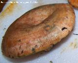Nscalo