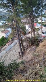 Molino del Rey. Cortando los pinos