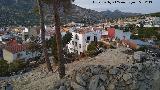 Molino del Rey. Alterando la arboleda