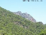 Cerro Pea Blanca. Desde Castaeda