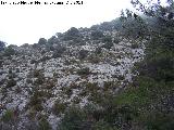 Cerro Cagasebo. Ladera rocosa