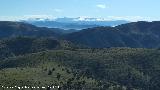 Provincia de Granada. Sierra Nevada desde el Cerro Los Morales - Valdepe�as de Ja�n