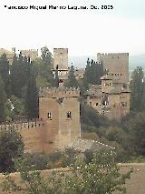 Alhambra. 