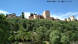 Alhambra. Desde el Paseo de los Tristes