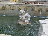 Fuente del Rey. 