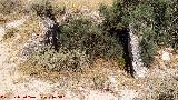 Dolmen X. 