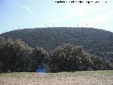 Parque elico Sierra del Trigo. Cerro Paredn